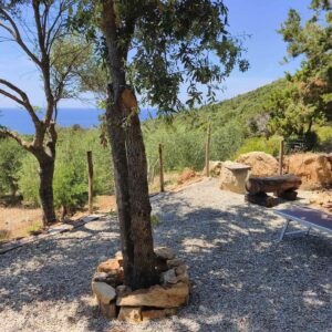 Spazio esterno ombreggiato del glamping con alberi, panca in legno e vista sul mare dell’Elba