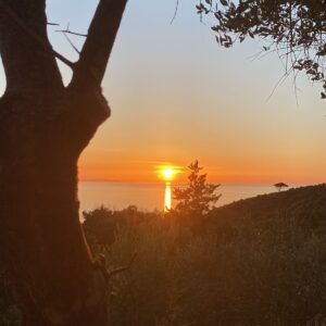 Tramonto sul mare visto tra gli alberi dal glamping dell’Agriturismo Amandolo all’Isola d’Elba